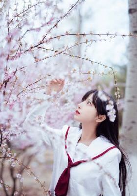 各种美女视频app_HD日韩电影在线
